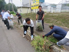 道路清掃ボランティア