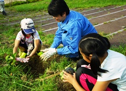 ボランティアと小学生があじさいを植栽している様子