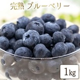三谷果樹園　完熟ブルーベリー