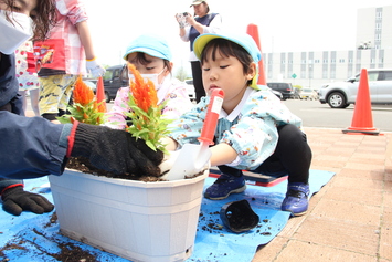 花の苗を植える園児