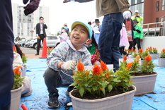 花の苗を植える園児