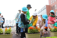 花の苗を植える園児